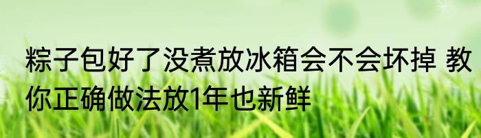 粽子包好了没煮放冰箱会不会坏掉 教你正确做法放1年也新鲜