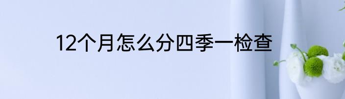 12个月怎么分四季一检查