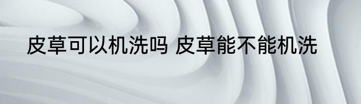 皮草可以机洗吗 皮草能不能机洗