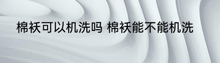 氯水的性质是什么