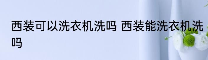 西装可以洗衣机洗吗 西装能洗衣机洗吗