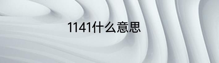 1141什么意思