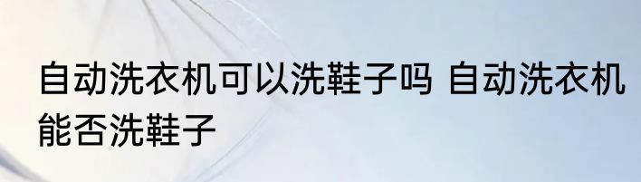 自动洗衣机可以洗鞋子吗 自动洗衣机能否洗鞋子