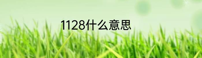 1128什么意思