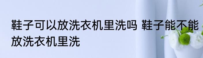 鞋子可以放洗衣机里洗吗 鞋子能不能放洗衣机里洗