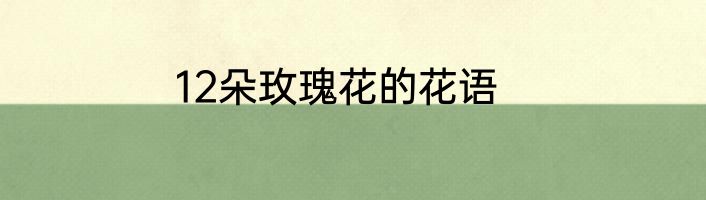 12朵玫瑰花的花语
