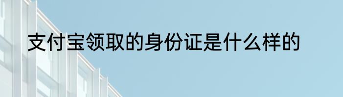 支付宝领取的身份证是什么样的