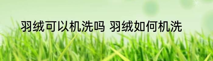 羽绒可以机洗吗 羽绒如何机洗