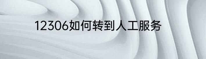 12306如何转到人工服务