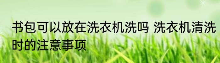 书包可以放在洗衣机洗吗 洗衣机清洗时的注意事项