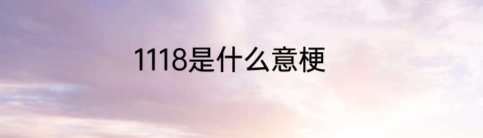 1118是什么意梗
