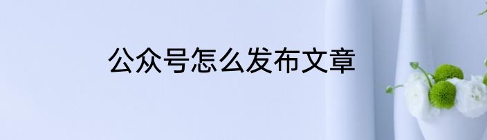 公众号怎么发布文章