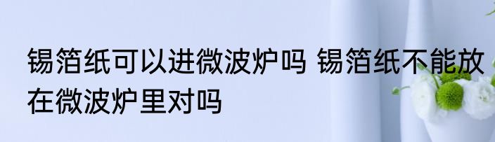 锡箔纸可以进微波炉吗 锡箔纸不能放在微波炉里对吗