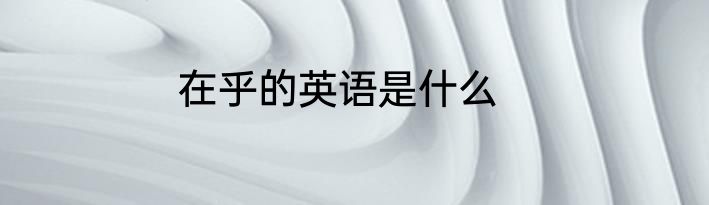 在乎的英语是什么