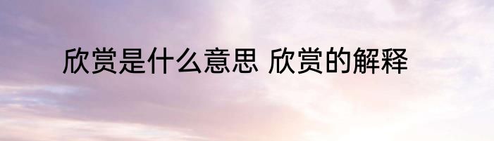 欣赏是什么意思 欣赏的解释