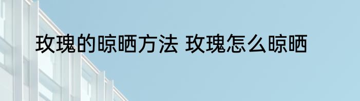 玫瑰的晾晒方法 玫瑰怎么晾晒