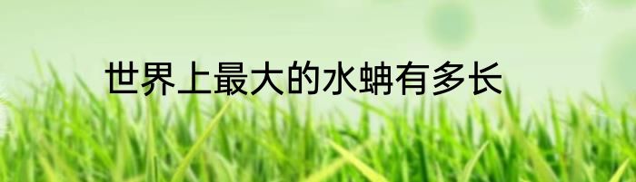 世界上最大的水蚺有多长