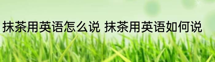 抹茶用英语怎么说 抹茶用英语如何说