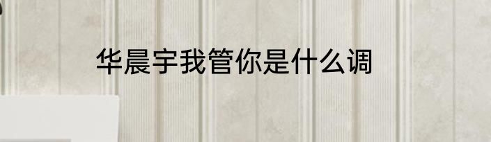 华晨宇我管你是什么调