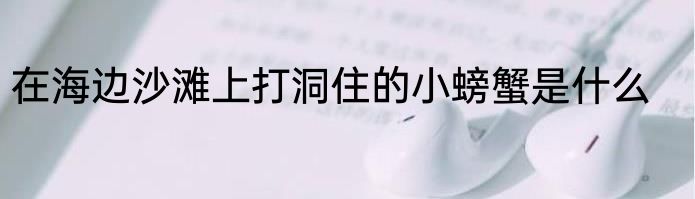 在海边沙滩上打洞住的小螃蟹是什么