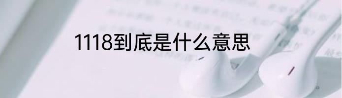 1118到底是什么意思