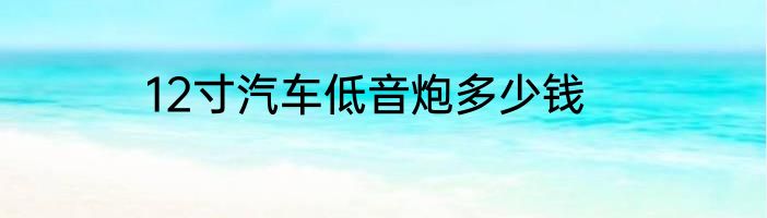 12寸汽车低音炮多少钱