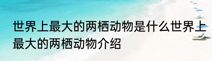 世界上最大的两栖动物是什么世界上最大的两栖动物介绍