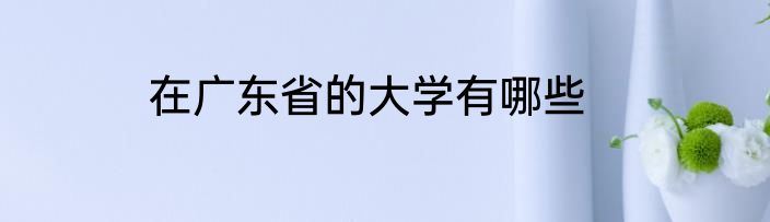 在广东省的大学有哪些