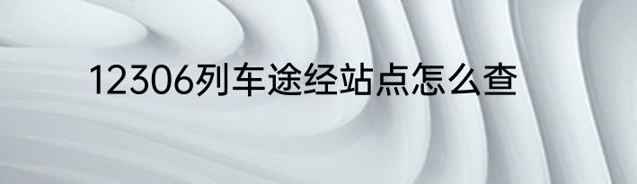 12306列车途经站点怎么查