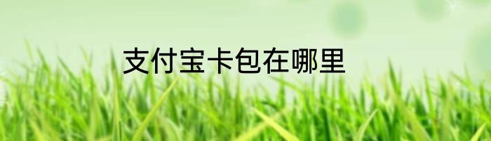 支付宝卡包在哪里