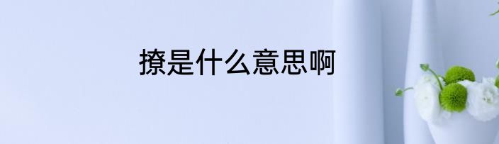 撩是什么意思啊