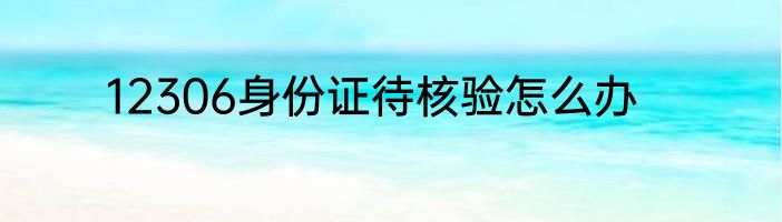 12306身份证待核验怎么办