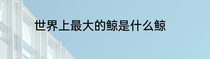 世界上最大的鲸是什么鲸