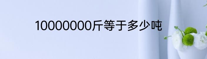 10000000斤等于多少吨
