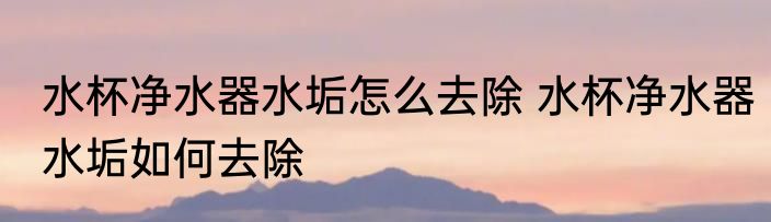 水杯净水器水垢怎么去除 水杯净水器水垢如何去除