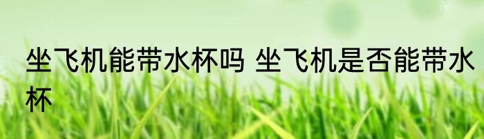 坐飞机能带水杯吗 坐飞机是否能带水杯
