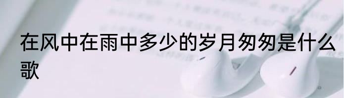 在风中在雨中多少的岁月匆匆是什么歌