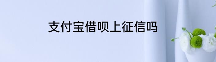 支付宝借呗上征信吗