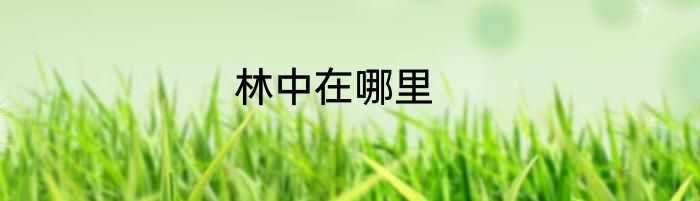 林中在哪里