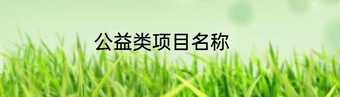 公益类项目名称