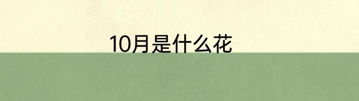 10月是什么花