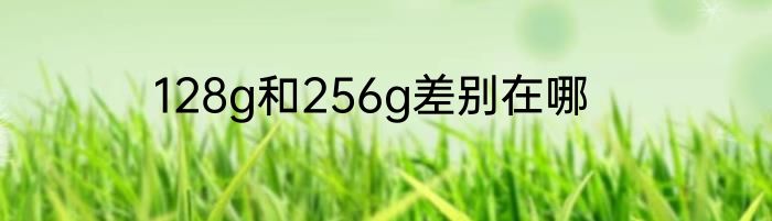 128g和256g差别在哪