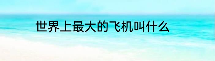 世界上最大的飞机叫什么