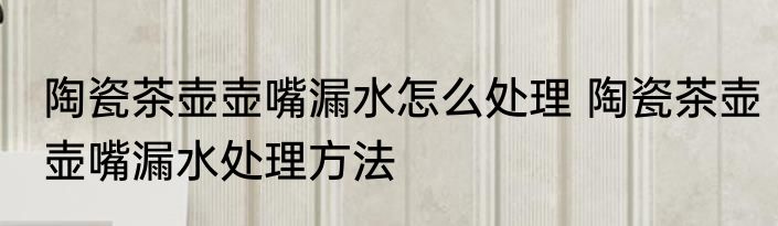 陶瓷茶壶壶嘴漏水怎么处理 陶瓷茶壶壶嘴漏水处理方法