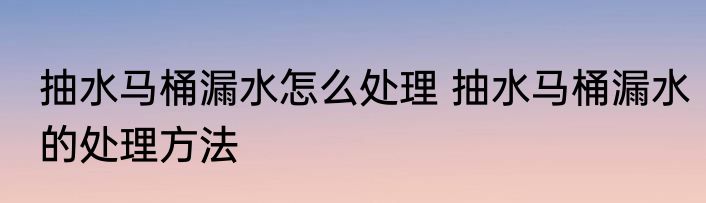 抽水马桶漏水怎么处理 抽水马桶漏水的处理方法