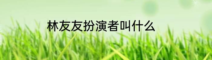 林友友扮演者叫什么