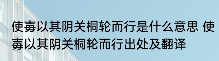 使毐以其阴关桐轮而行是什么意思 使毐以其阴关桐轮而行出处及翻译