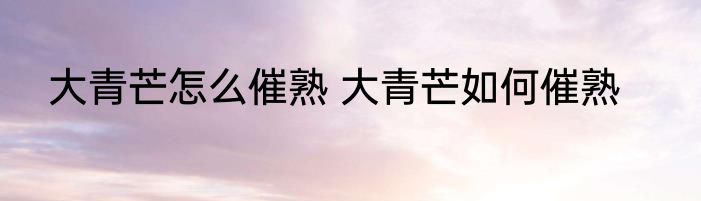 大青芒怎么催熟 大青芒如何催熟