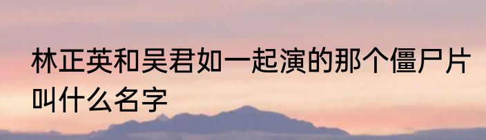 林正英和吴君如一起演的那个僵尸片叫什么名字