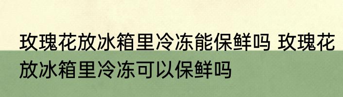 玫瑰花放冰箱里冷冻能保鲜吗 玫瑰花放冰箱里冷冻可以保鲜吗